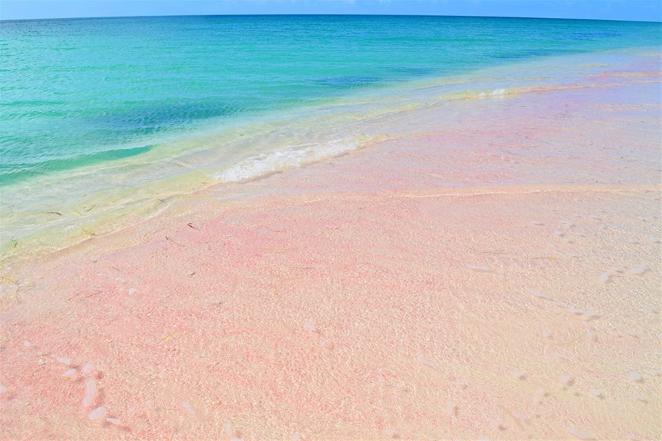 Cedar Tree Point Beach - Pink Sand