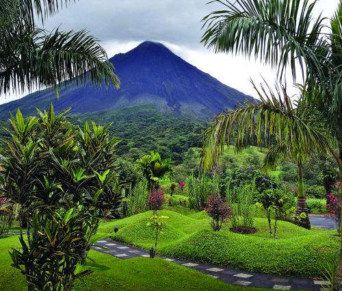 Costa Rica lush greenery 